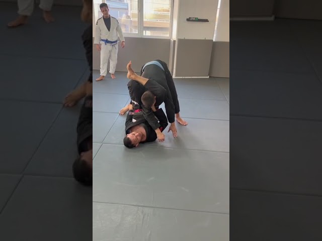 bjj athens alliancejiujitsuathens